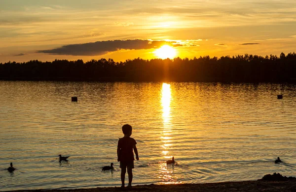 Zachód Słońca Nad Jeziorem Letnim Upale Brzegu Sylwetka Dziecka — Zdjęcie stockowe