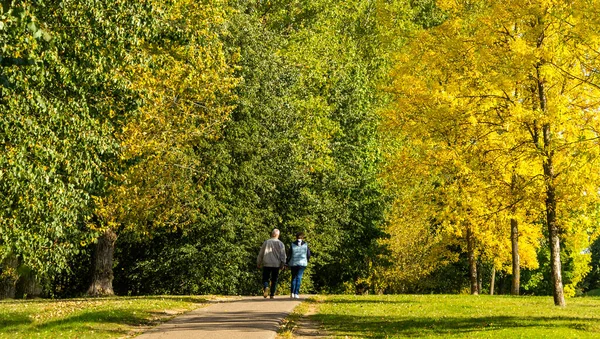 Aşıklar sonbahar parkında el ele yürür