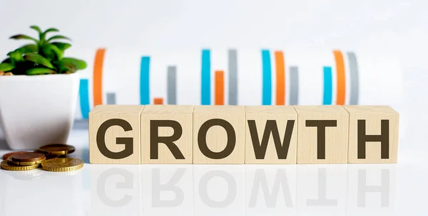 Growth Słowo Litery Drewnianych Klocków Monetami Koncepcja Biznesowa — Zdjęcie stockowe