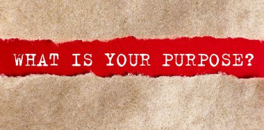 Yırtık kağıtların arkasında ne işin var?