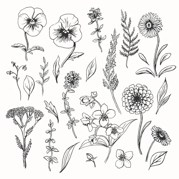 Floral set of hand drawn flowers and leaves Stock Illustration