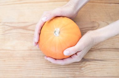 Olgun küçük çiftçi çevre dostu balkabakları bir çiftçinin ellerinde.