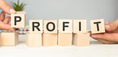 Tahta bloklara yazılmış kâr metni. İş konsepti.