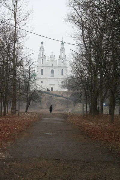 Туман Городе Прогулка Парку Осень — стоковое фото