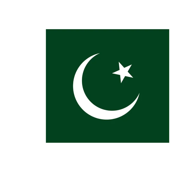 Pakistan Ulusal Bayrağı Düz Renk Simgesi — Stok Vektör