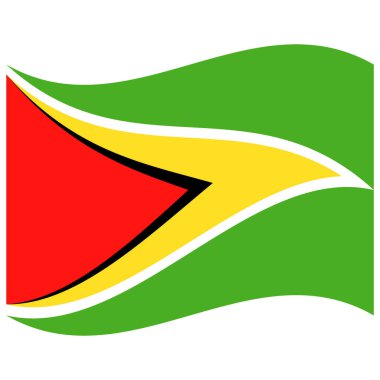 Guyana 'nın Ulusal Bayrağı - Düz Renk Simgesi.