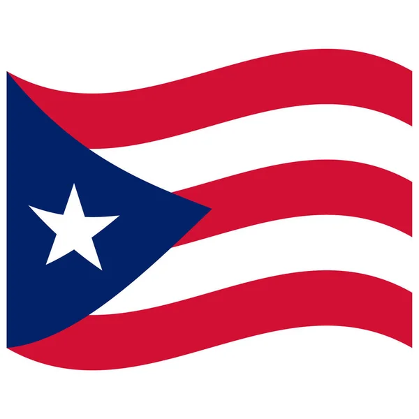 푸에르토리코의 색상의 아이콘 — 스톡 벡터