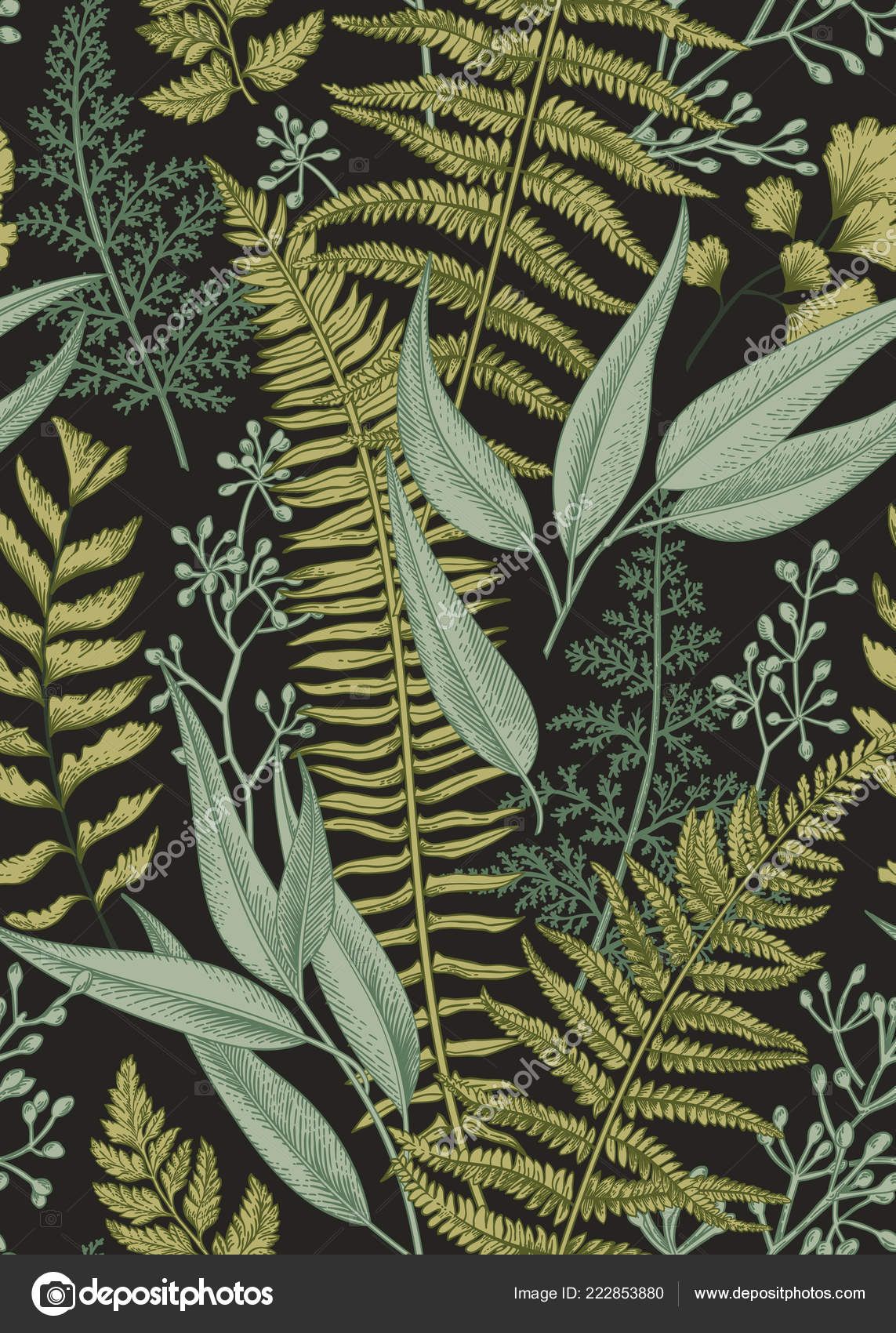 Ilustraciones de botánica de estilo vintage - Noveno Ce