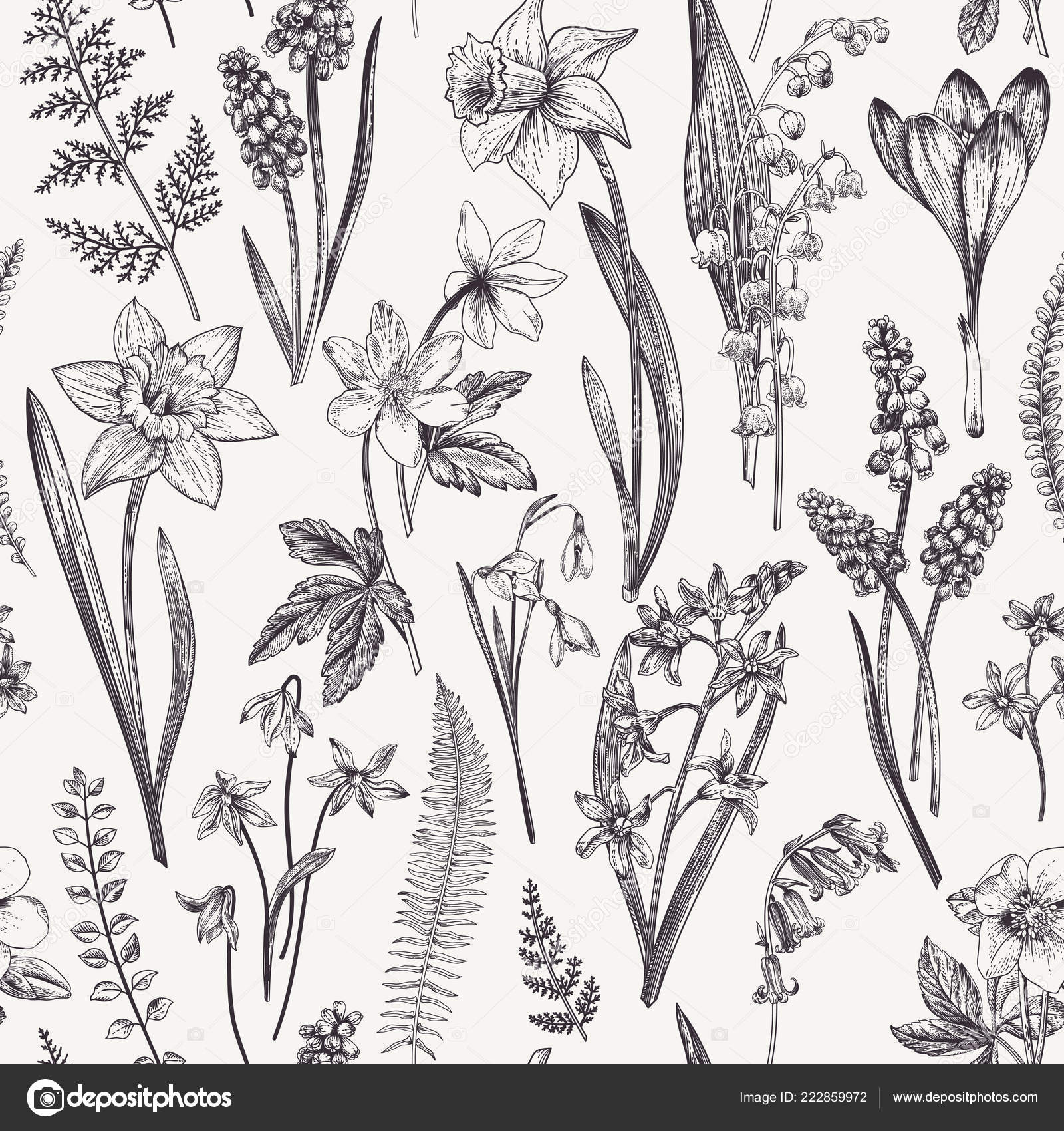 Vintage Seamless Floral Pattern Spring Flowers Herbs Botanical Vector Illustration Stock Vector C Lisla 222859972