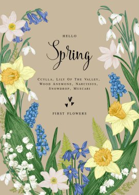 Bahar çiçekleri ile vektör kartı. Vintage botanik illüstrasyon. Narcissus, kardelen, muscari, lily vadi, scylla. Kraft arka plan.