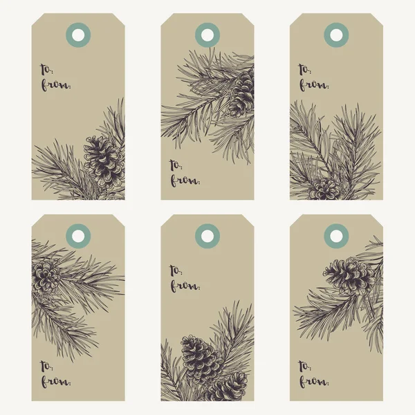 Christmas Gift Tags Pine Branches Cones Vector Illustration Vintage Style — Stock Vector