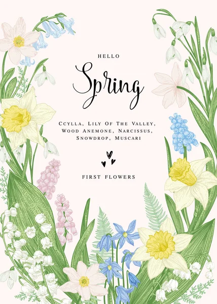 Blumenkarte Mit Frühlingsblumen Botanische Illustration Pastellfarben Vektor — Stockvektor