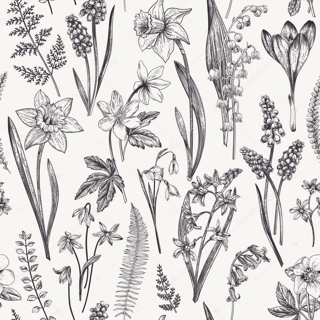 Vintage seamless floral pattern. Spring flowers and  herbs. Botanical vector illustration. Narcissus, lily of the valley, hellebore, snowdrop, crocus. Engraving. Black and white.