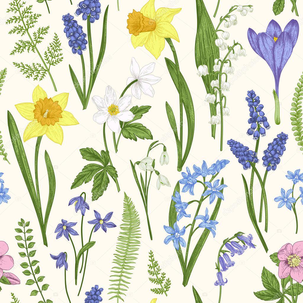 Vintage seamless floral pattern. Spring flowers and grass. Botanical vector illustration. Engraving. Colorful.