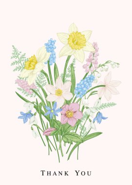 Romantik buket çiçek erken baharda. Beyaz arka plan üzerinde izole vektör tasarım öğeleri. Botanik illüstrasyon. Pastel renkler.