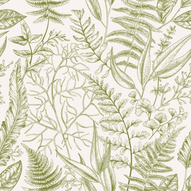 Spring leafy green seamless pattern. Vintage floral background. Vector. Leaves and herbs. Botanical illustration. clipart