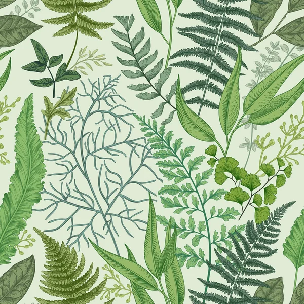 Nahtloses Muster Mit Verschiedenen Farnen Und Blättern Vintage Floralen Hintergrund — Stockvektor