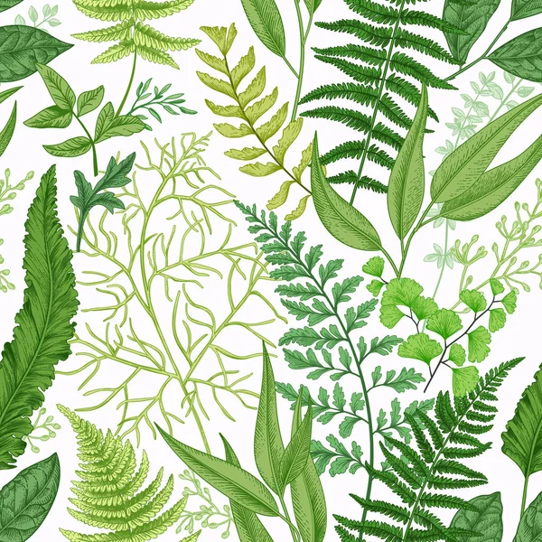 春天绿叶无缝图案 复古花卉背景与不同的蕨类植物 植物学的插图 — 图库矢量图片