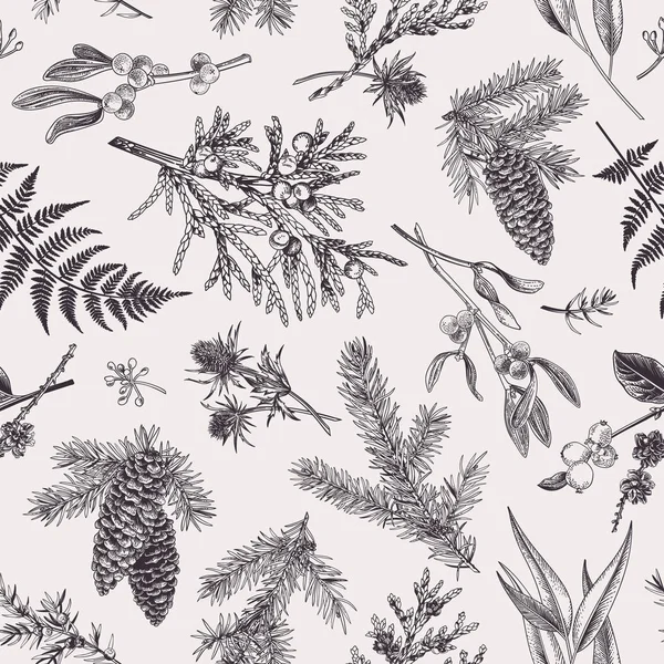 Christmas Seamless Pattern Engraving Style Vintage Botanical Background Coniferous Plants — Stock Vector