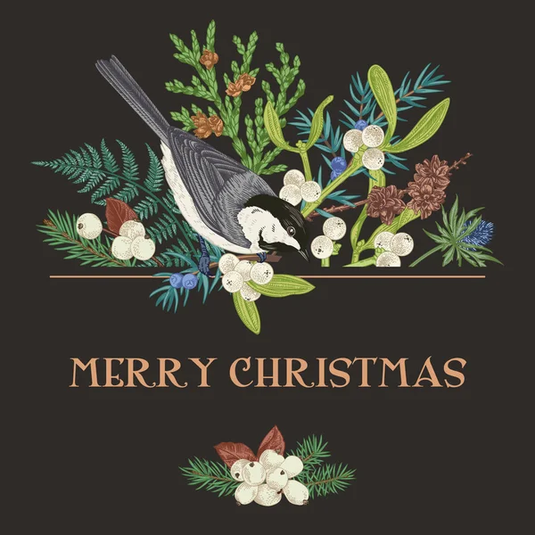 Vector Illustration Titmouse Christmas Background Bird Conifer Greeting Botanical Card — Διανυσματικό Αρχείο