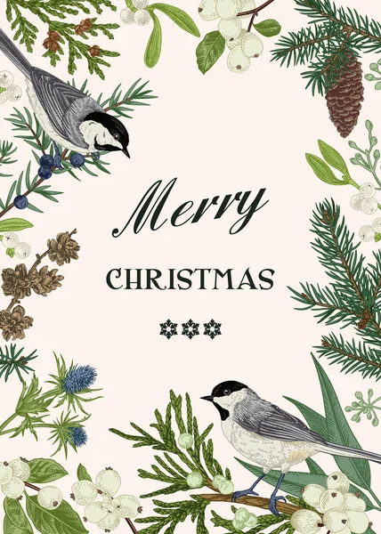 Weihnachtskarte Mit Zwei Vögeln Und Winterpflanzen Und Beeren Botanische Illustration — Stockvektor