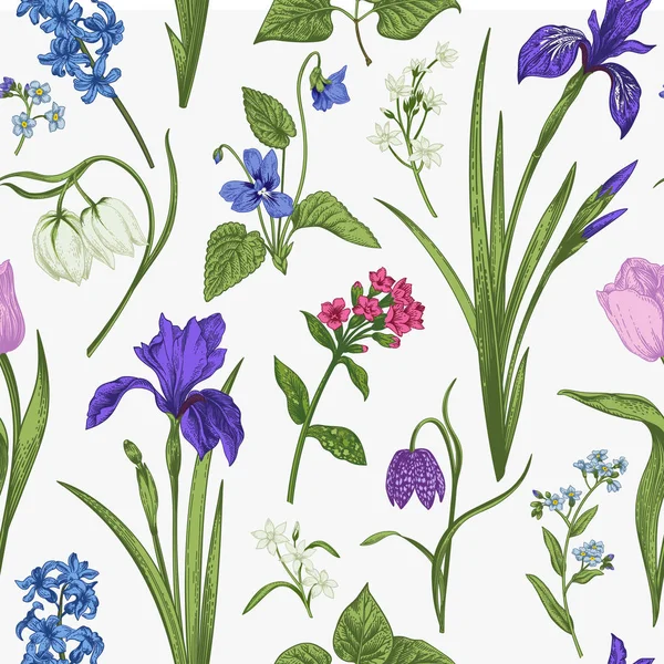 Motif Floral Sans Couture Dans Style Vintage Illustration Vectorielle Botanique — Image vectorielle