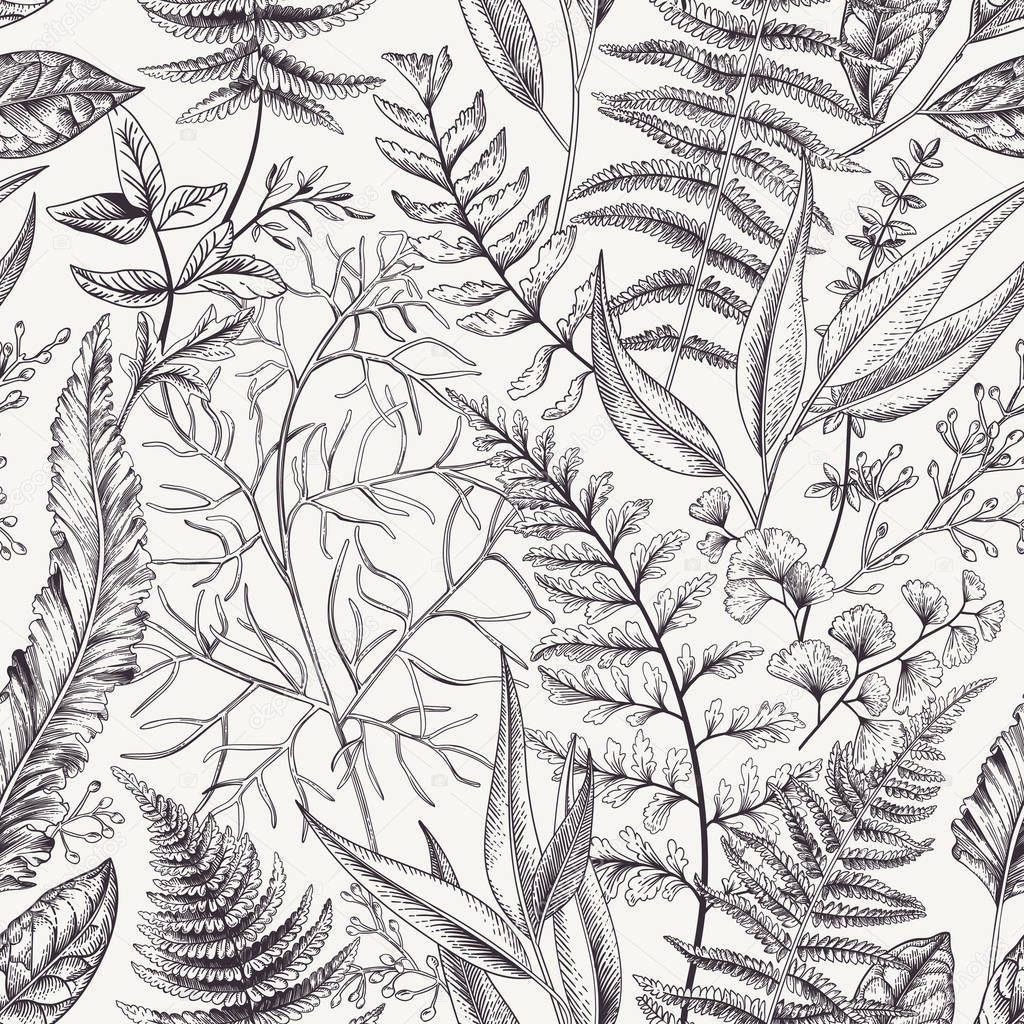 Seamless floral pattern with leaves and ferns. Vintage floral background. Botanical vector illustration. Engraving. Black and white.