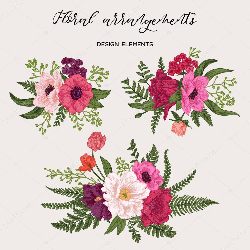Flower arrangement with peonies, anemones, tulips, leaves of the fern and eucalyptus seeds. Spring and summer bouquet. Vector design elements. Vivid colors.