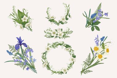 Çiçek tasarım elementleriyle ayarlanmış. Çiçek buketi, düzenleme, çelenk.