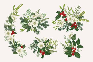Bir çift Noel buketi. Kışlık bitkiler, böğürtlenler ve çiçeklerle yapılan klasik kompozisyonlar. Vektör botanik çizimi. Renkli.