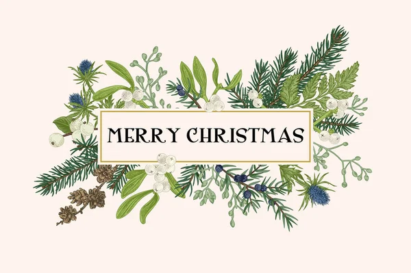 Vánoční Rám Zimními Rostlinami Botanická Ilustrace Složení Smrkem Eukalyptovými Semínky — Stockový vektor