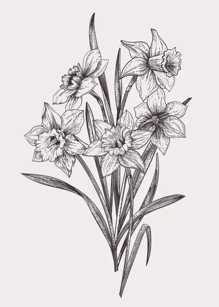 Ramo Vectorial Con Narcisos Blanco Negro — Archivo Imágenes Vectoriales