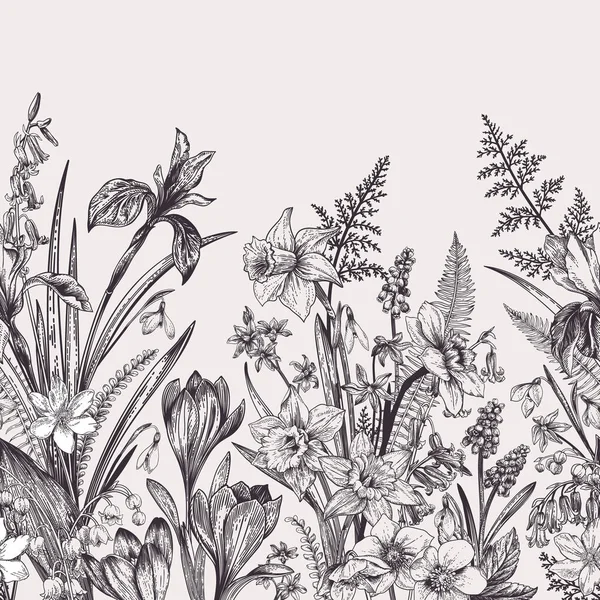 Borde Sin Costuras Con Flores Primavera Ilustración Botánica Blanco Negro — Archivo Imágenes Vectoriales