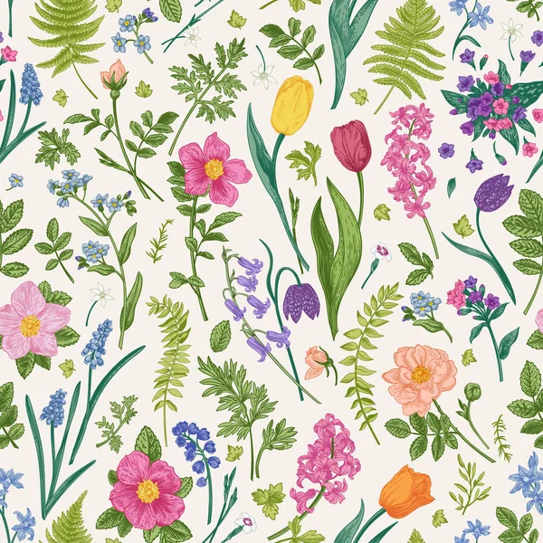 Motif Floral Sans Couture Avec Des Fleurs Des Herbes Jardin — Image vectorielle