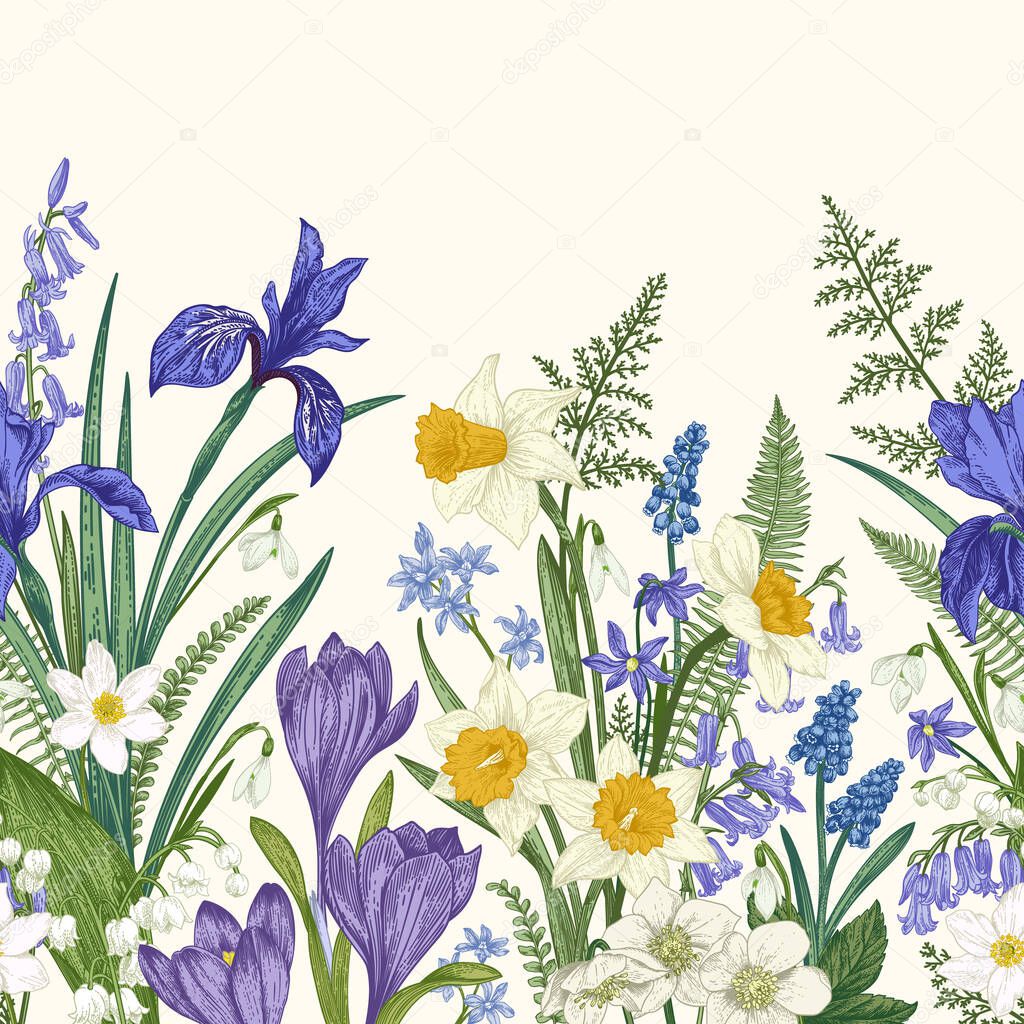 Seamless border with spring flowers. Iris, crocus, narcissus, snowdrop, lily of the valley. Botanical illustration. Colorful.