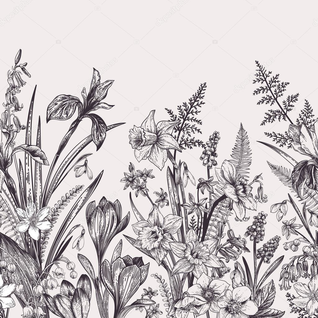 Seamless border with spring flowers. Botanical illustration. Black and white.