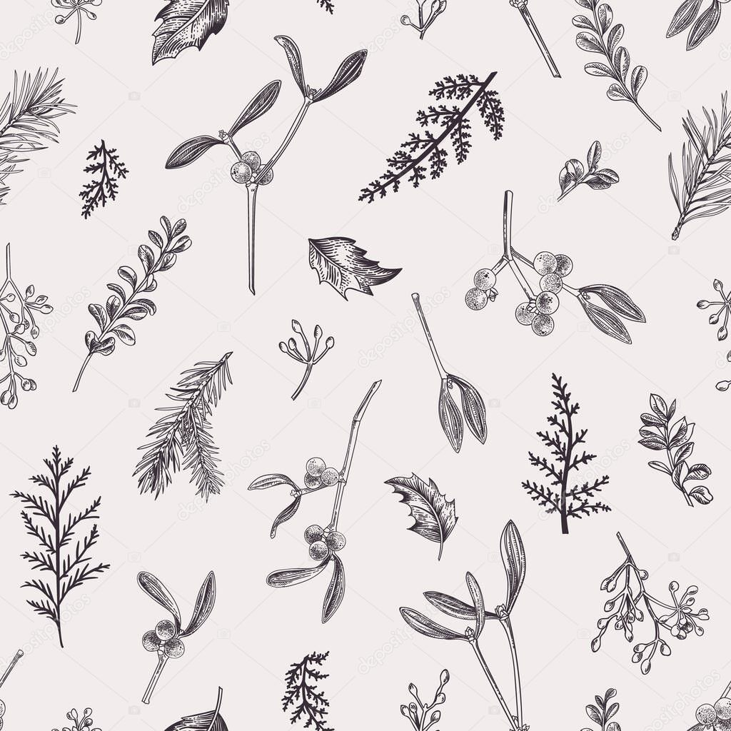 Natural seamless pattern with leaves, seeds, conifers and berries. Winter background with plants. Vector illustration. Black and white.