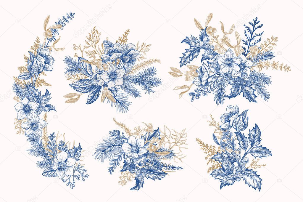 Vintage compositions with winter plants, berries and flowers. Mistletoe, hellebore, pine, spruce, holly, fern. Christmas bouquet. Vector botanical illustration. Blue and gold.