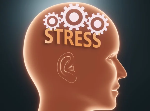 Stress Menschlichen Geist Dargestellt Als Wort Stress Kopf Mit Zahnrädern — Stockfoto