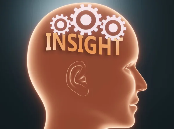 Insight Human Mind Pictured Word Insight Head Cogwheels Symbolize Insight — Stock Photo, Image