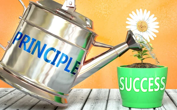 Principle Helps Achieving Success Pictured Word Principle Watering Can Symbolize — Stock Photo, Image