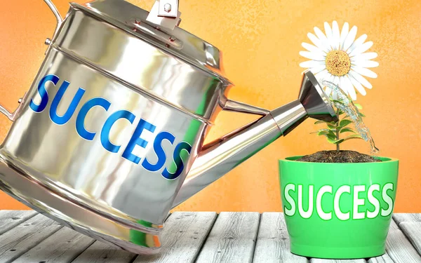 Успех Помогает Достичь Успеха Изображается Слово Успех Поливной Банке Символизировать — стоковое фото