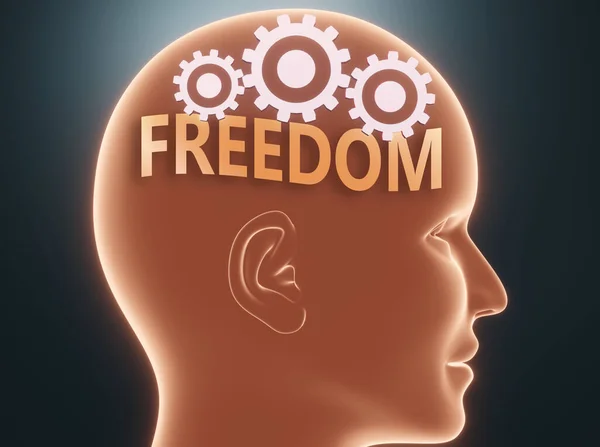 人間の心の中の自由 言葉として描かれた自由自由を象徴する歯車と頭の中の自由は 人々が考えるかもしれないものであり それは彼らの行動に影響を与えること 3Dイラスト — ストック写真