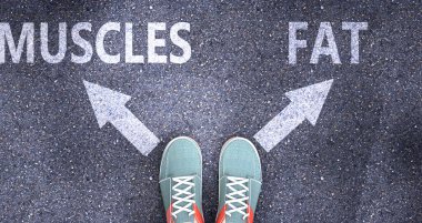 Kas ve yağ, hayattaki farklı seçimler olarak tasvir edilir. Kas, karar vermeyi sembolize eden bir yolda şişman ve seçenek olarak kas ya da yağ seçer.