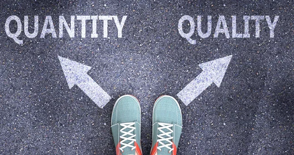 Quantity Quality Different Choices Life Pictured Words Quantity Quality Road — Stock Photo, Image