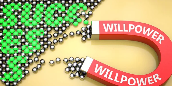 Willpower Trekt Succes Afgebeeld Als Woord Willpower Een Magneet Symboliseren — Stockfoto