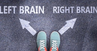 Sol beyin ve sağ beyin, hayattaki farklı seçimler olarak resmedilmiş. Sol beyin, sağ beyin, karar vermeyi sembolize eden bir yol üzerinde. Seçenek olarak herhangi birini seçmek, 3d çizim.