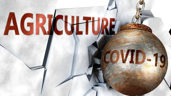 Covid Agricultura Simbolizados Por Virus Coronavirus Destruir Palabra Agricultura Para — Foto de Stock