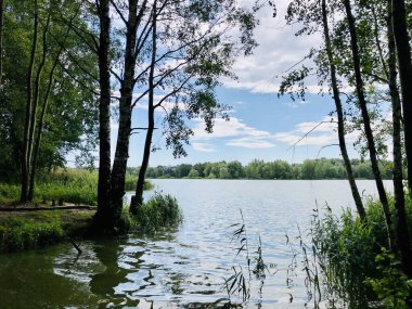 Ormanın ortasında saklı bir göl.