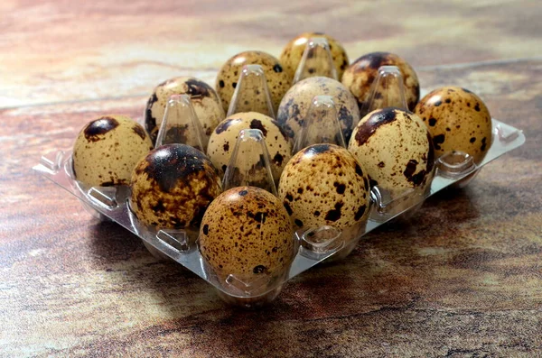 Quail Eggs Plastic Box Brown Stone Background — Stock Photo, Image